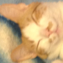 mystic1lurker avatar