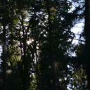 mystical-soul-of-a-ghost avatar