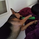 mysticalbouquet-lover avatar