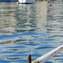 mysticalfirecopranch avatar