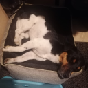 mysticalstarfishbanana avatar