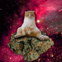 mysticalweedwizard avatar