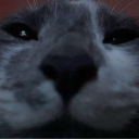 mysticcoffee707 avatar