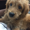 mysticdragoonzeref avatar