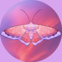 mysticmothmayhem avatar