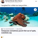 mysticmusicinkpop avatar