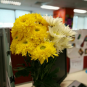 mystorymyword avatar