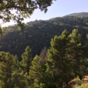 mystoryouspics avatar