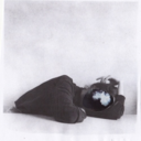 mystrangebird avatar