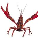 mystuffandmorestuff avatar