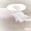 mysweetvalentine1111 avatar