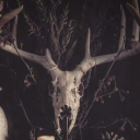 mythicalfaecraft avatar