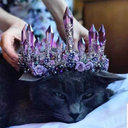 mythloverdoesntdeliver avatar