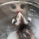 mythosmediablog avatar