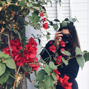 mythoughtsbeginhere avatar