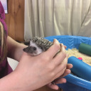 mytrashsthings avatar