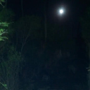 myusernameandpassword avatar