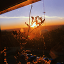 myworldisfire avatar