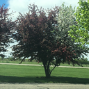 mywritingpromptresponces1x3 avatar