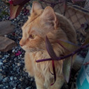 myyworldisbeautiful avatar