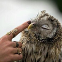 n-cortel-blog avatar