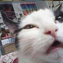 n0thing-by-blog avatar