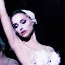 n1ght-scented-stock avatar