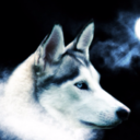 n3rezza avatar
