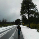 nadando-entre-mariposas avatar