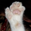 nadare-writer avatar