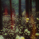 nadoor01world-blog avatar