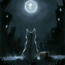 nafsheja-blog avatar