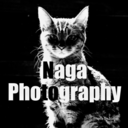 naga-from-ihatov avatar