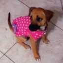 nagareboshi-san avatar