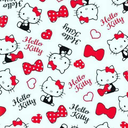 naikahde2017-blog avatar