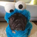 nailcraze123-blog avatar