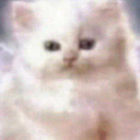 naive-non-compliant-eva avatar