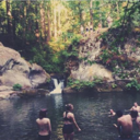 naive-nonsense avatar