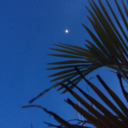 naivem-ty-blog avatar