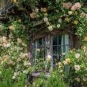 najarsinkedveins avatar