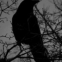 naked-thought avatar