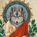 nakeddruidsworld avatar