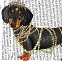 nakedpearlscore avatar