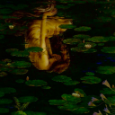 nakkedgoddess avatar