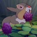 nakomahs-moved-blog avatar