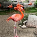 name-me-regret avatar