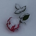 nameless-dread avatar