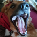 namelessechos avatar