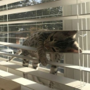 namenotfound0 avatar