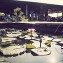 namikawasorata avatar